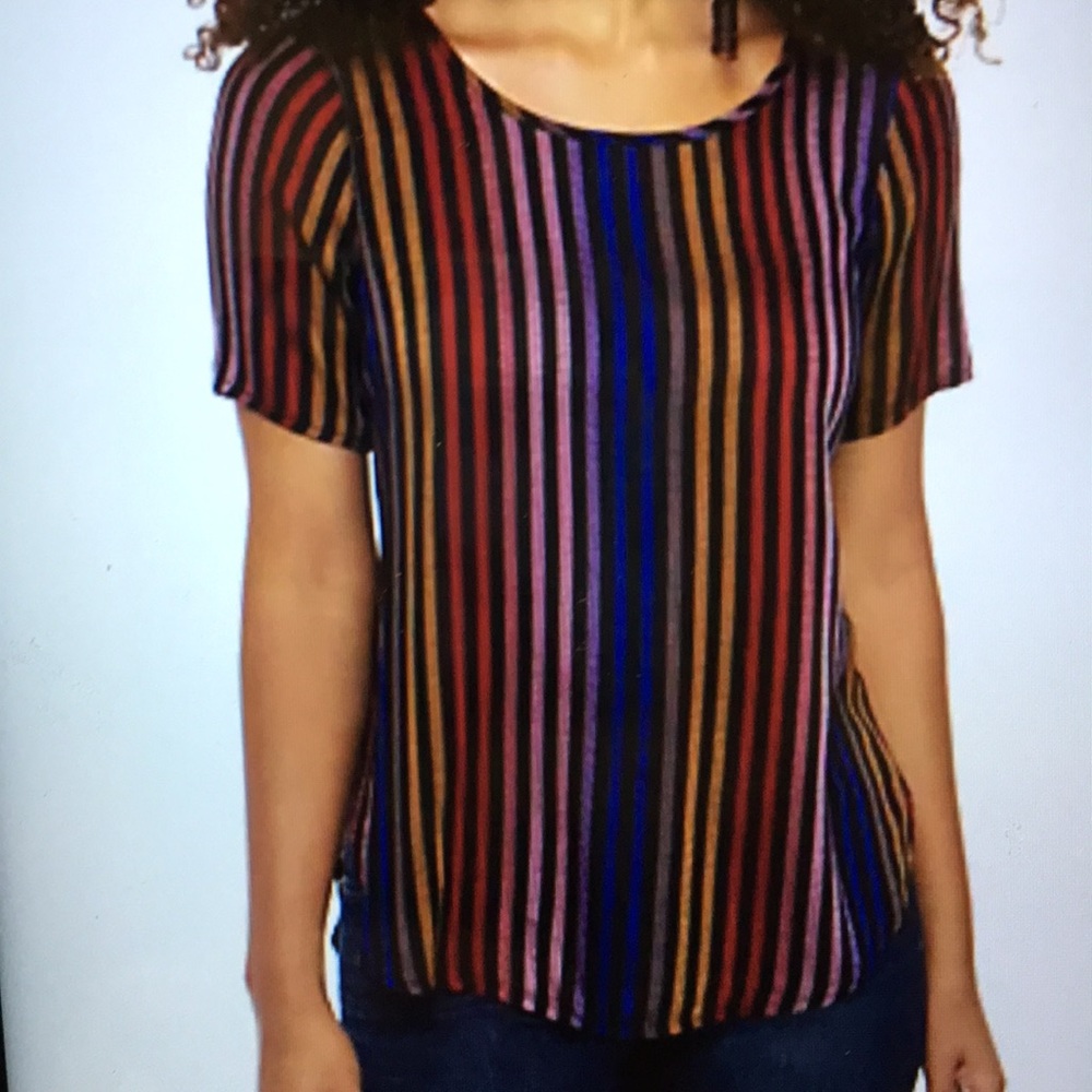Spense Multicolor Vertical Stripe Short Sleeve Top - Black Base